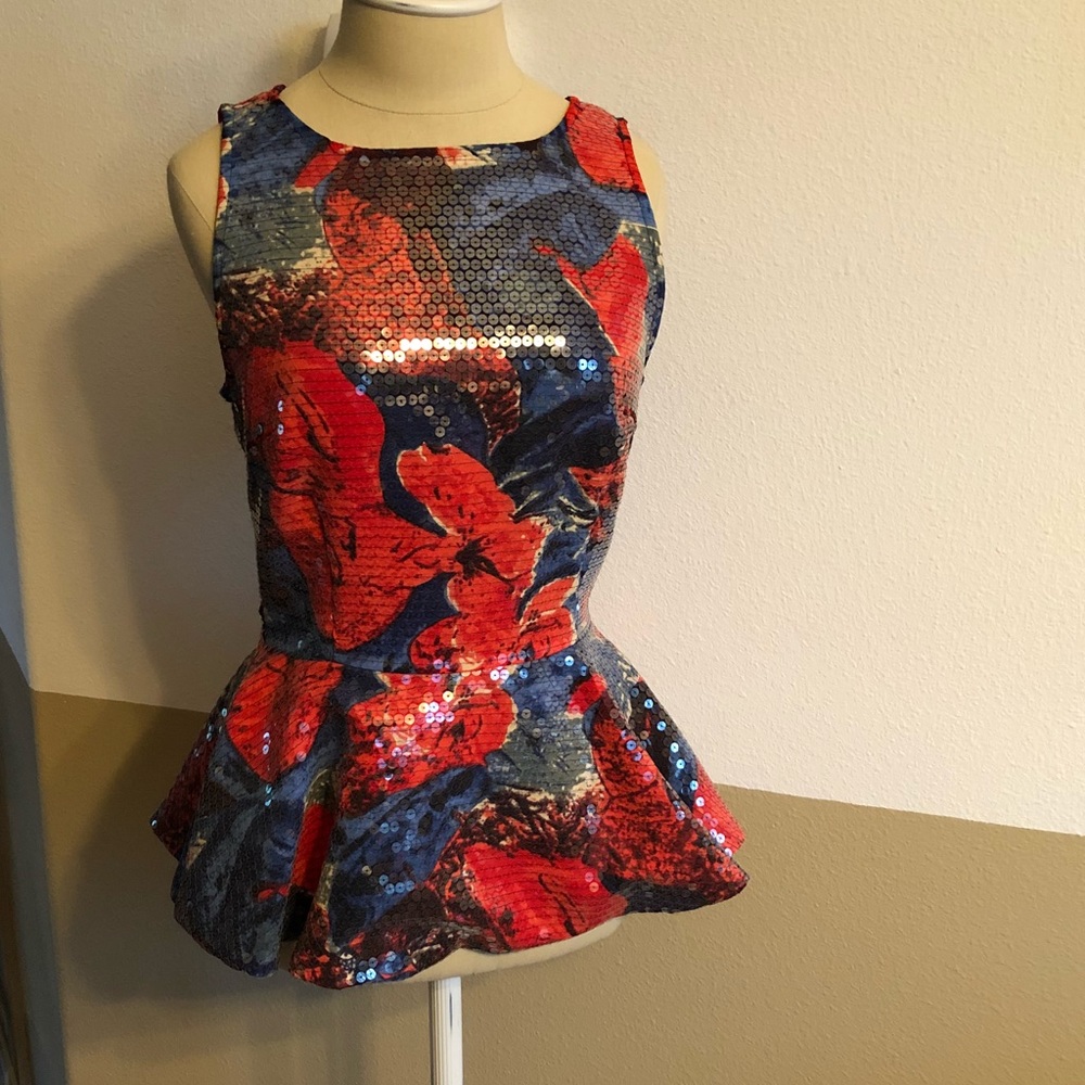 COPY - Size 2 GORGEOUS STUNNING Sequin Anthropologie Top